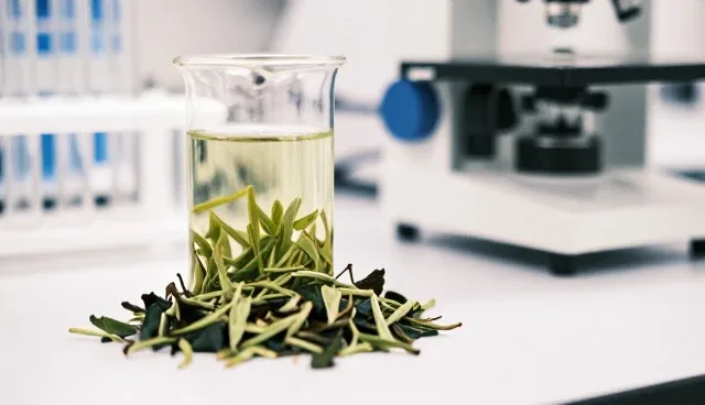 有机茶叶物流效率提升的关键关注点
